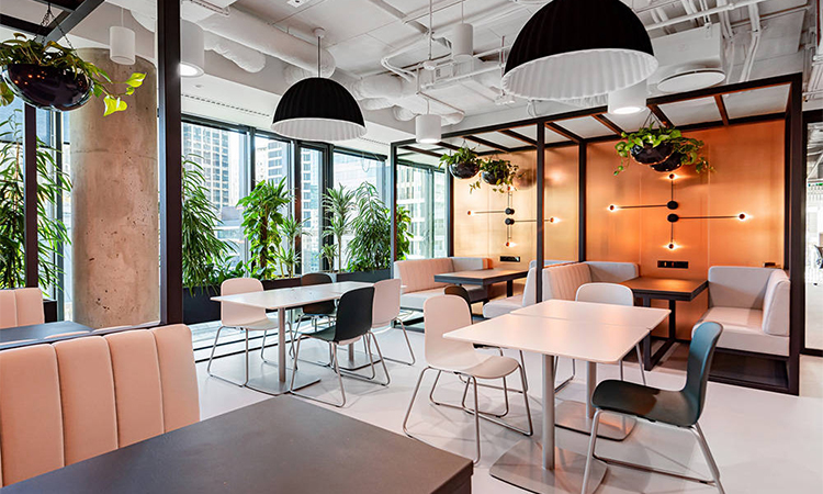 上海辦公室裝修怎么選綠植，既能凈化空氣又能旺風(fēng)水？