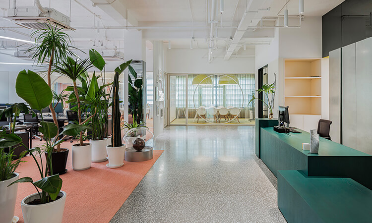 辦公室裝修現(xiàn)場完工照