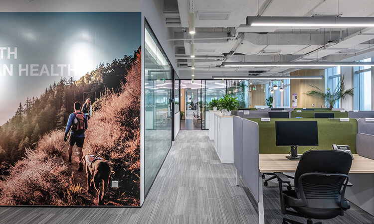 辦公室裝修公司環(huán)境形象