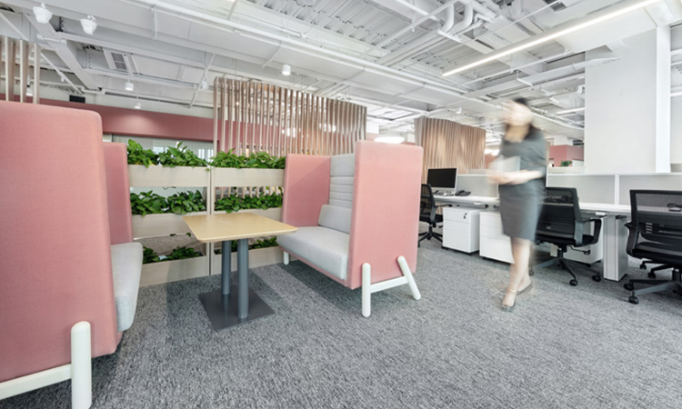 設(shè)計(jì)師辦公區(qū) 設(shè)計(jì)師辦公區(qū)