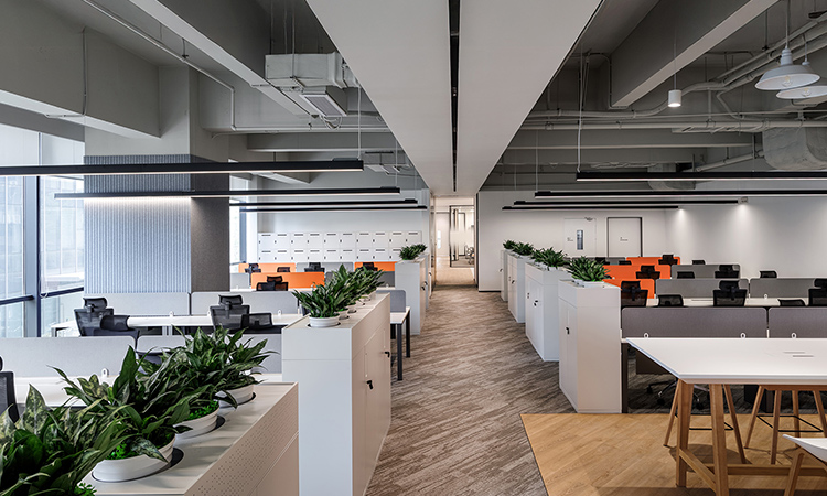 生物醫(yī)藥公司辦公室